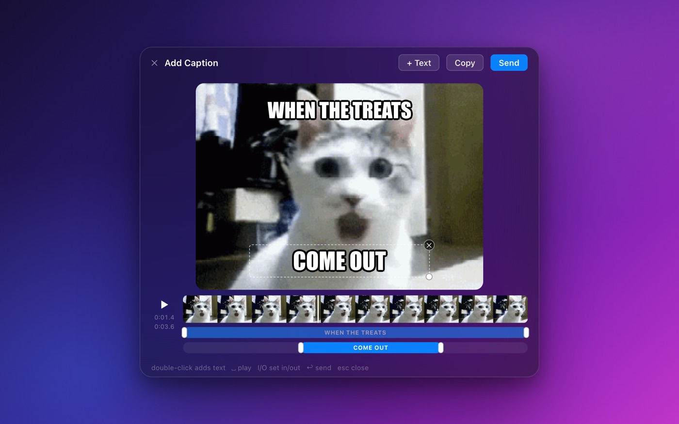 The caption editor: draggable text, filmstrip timeline, per-caption timing bars