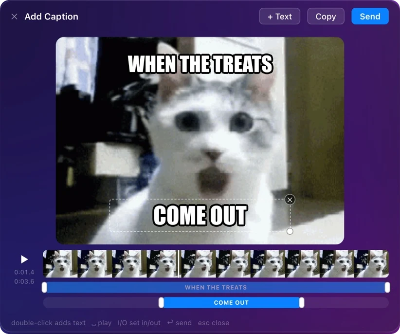 The caption editor on Mac